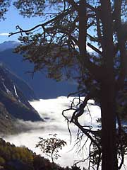 Flott natur i Fjørå